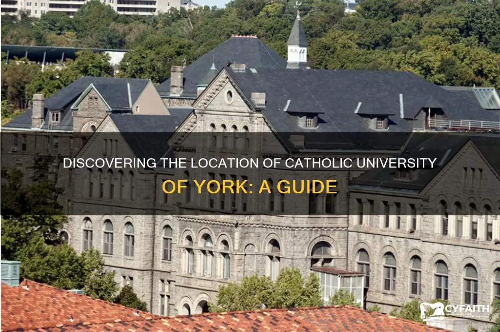 where is catholic university of york