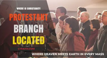 Exploring the Global Presence of Christianity's Protestant Branch