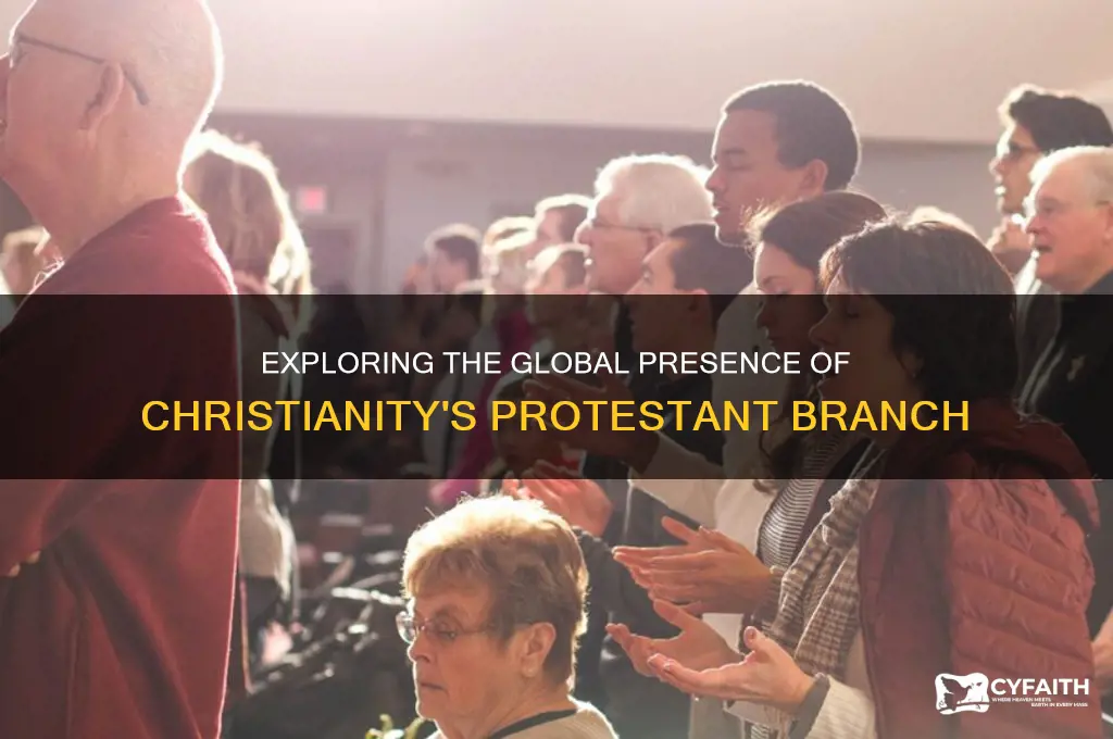 where is christianity protestant branch located