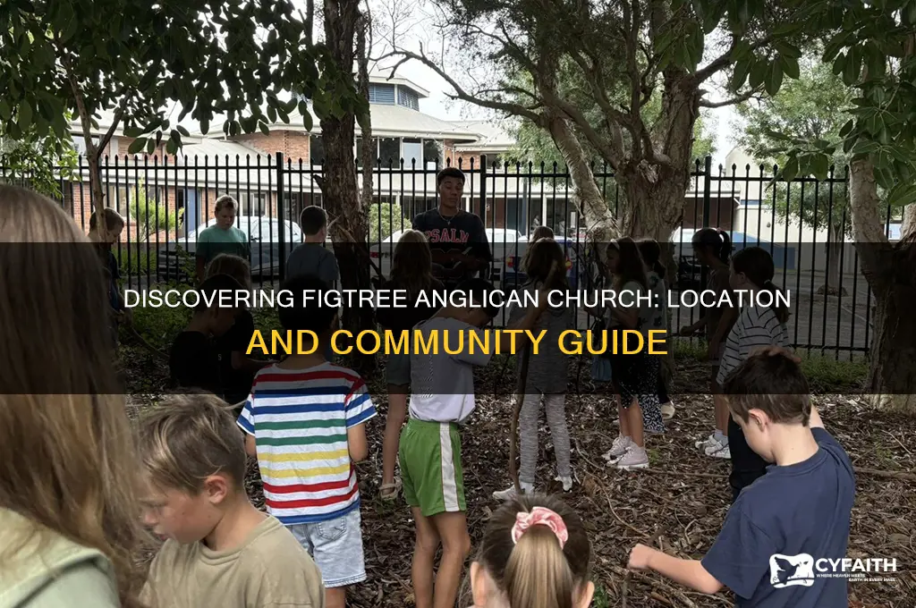 where is figtree anglican church