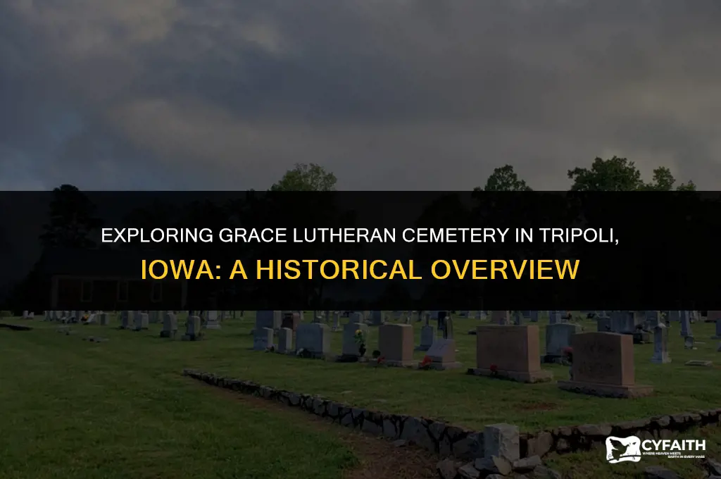where is grace lutheran cemetery tripoli iowa