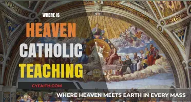 Where Is Heaven? Exploring Catholic Teachings on the Afterlife
