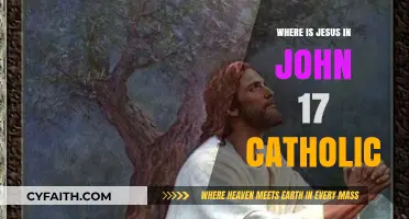 Jesus' High Priestly Prayer: A Catholic Perspective on John 17
