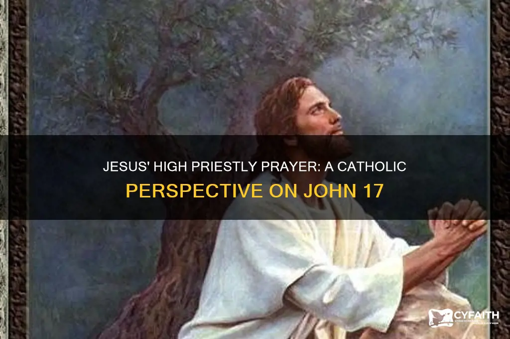 where is jesus in john 17 catholic