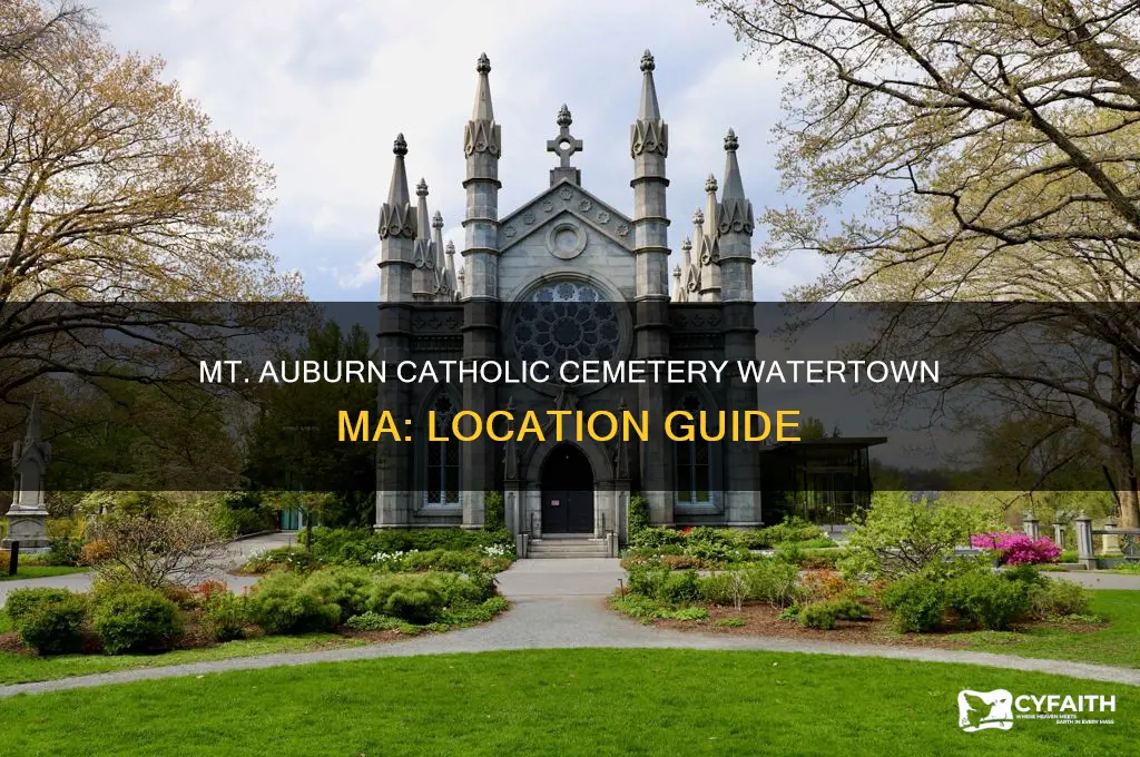where is mt auburn catholic cemetery watertown ma