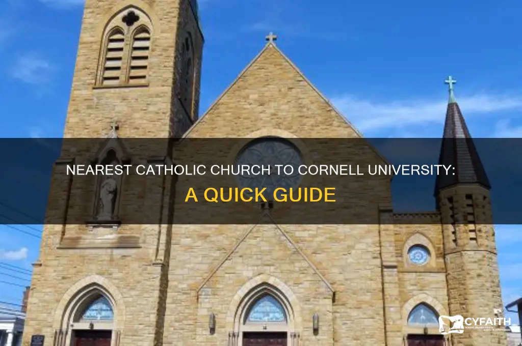 where is nearest catholic near to cornell university