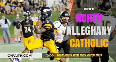 Discovering North Alleghany Catholic: Location and Community Insights