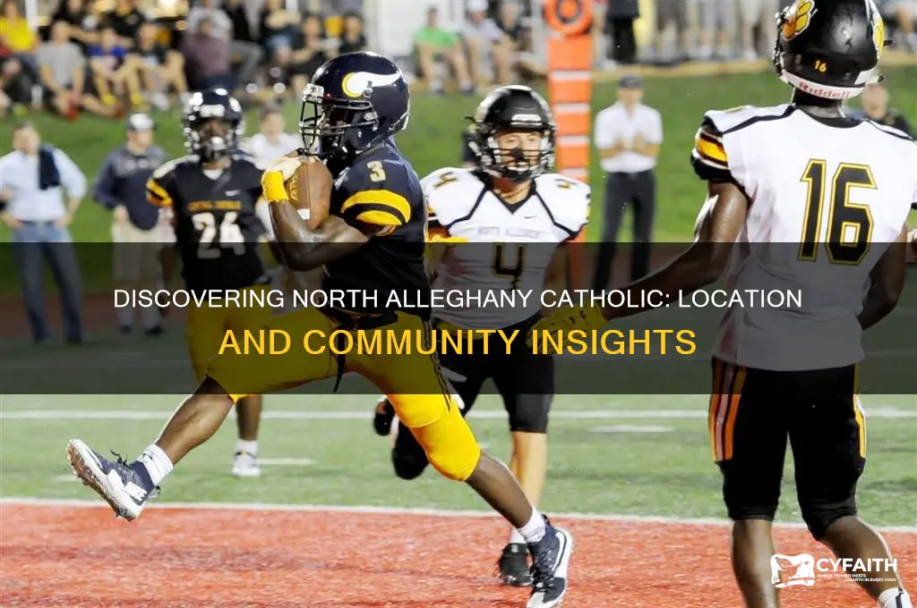 where is north alleghany catholic