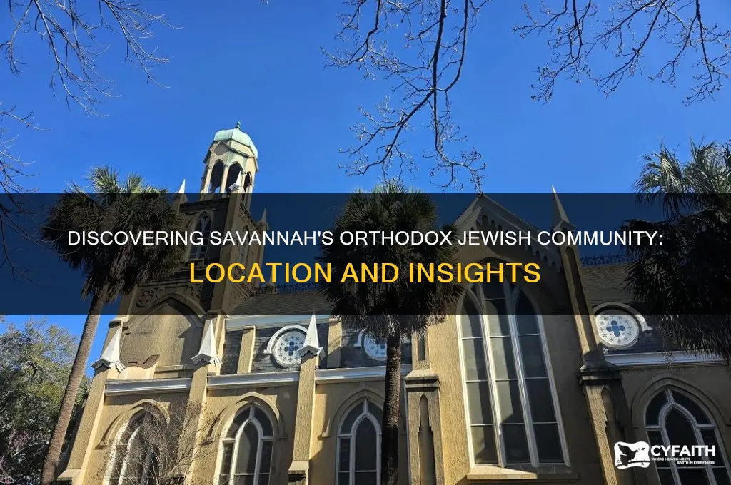 where is orthodox jewish section in savannah