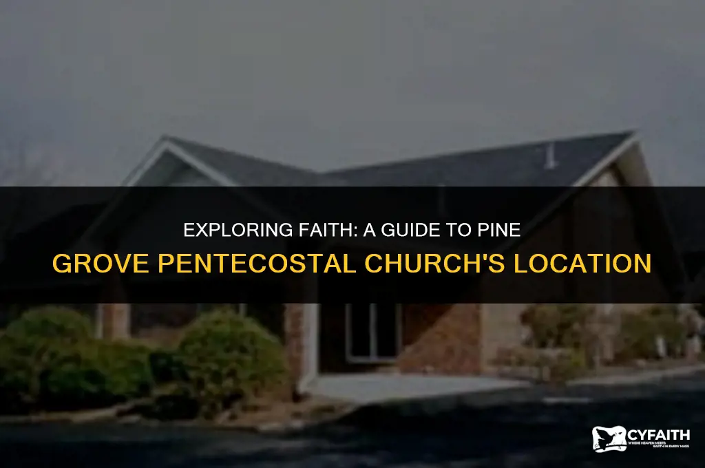 where is pine grove pentecostal church