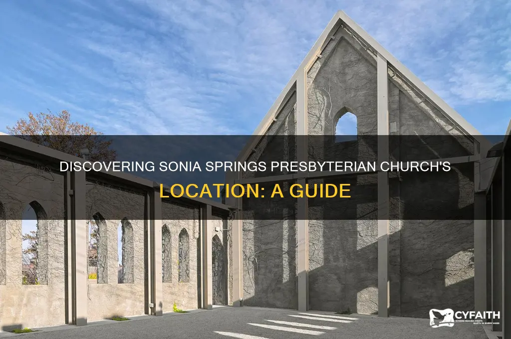 where is sonia springs presbyterian church