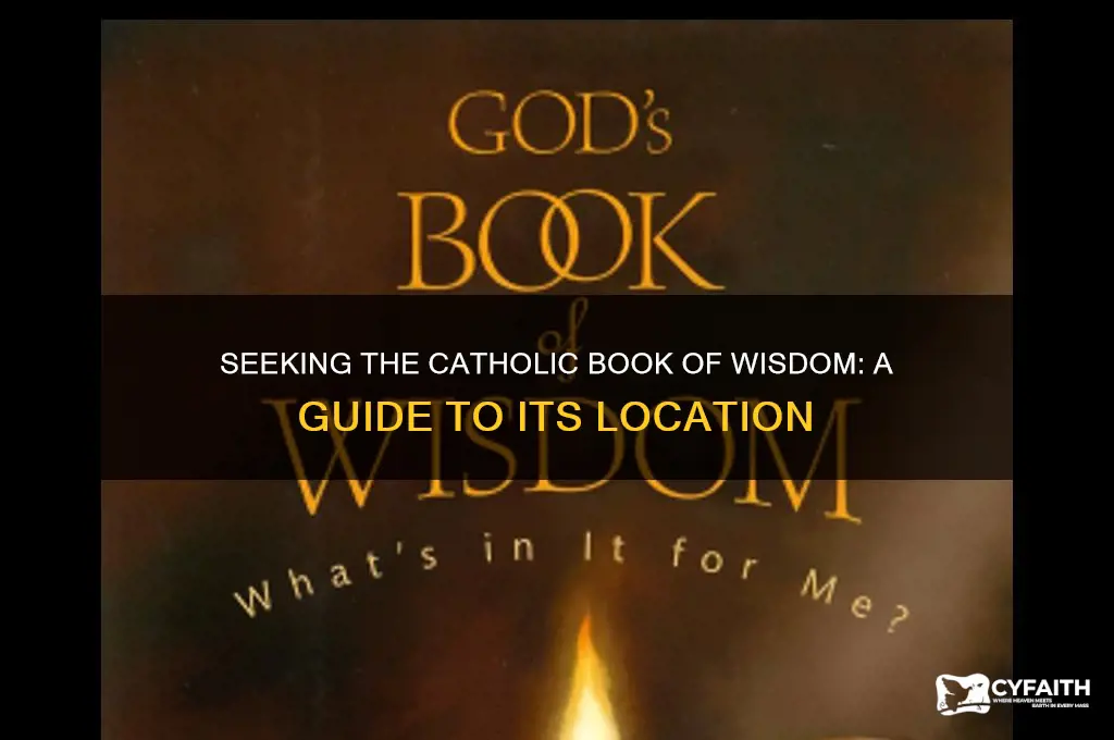 where is the catholic book of wisdom
