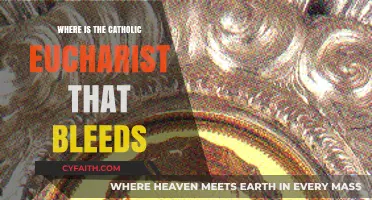 The Bleeding Catholic Eucharist: Unveiling the Mystical Phenomenon's Location