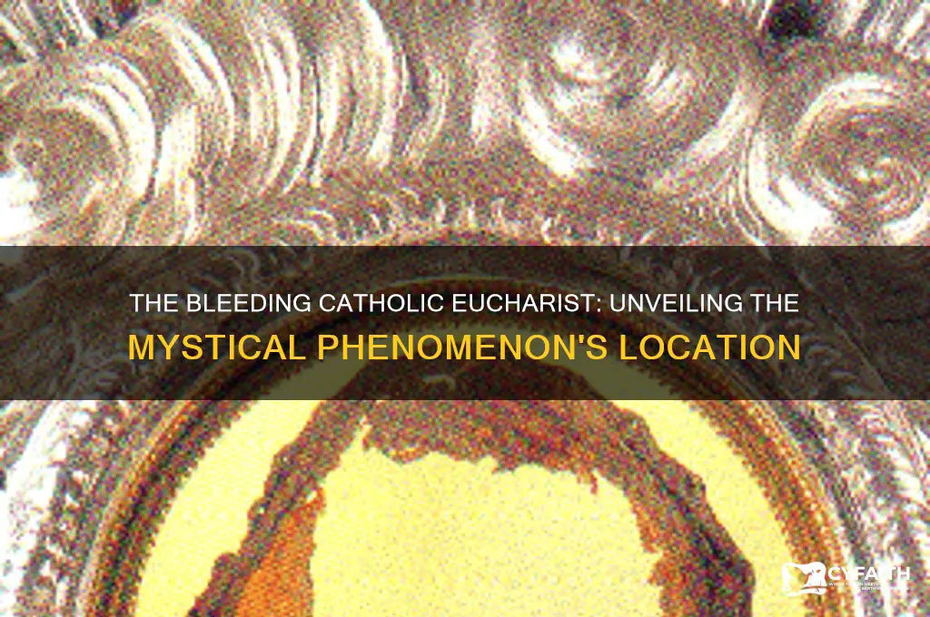 where is the catholic eucharist that bleeds