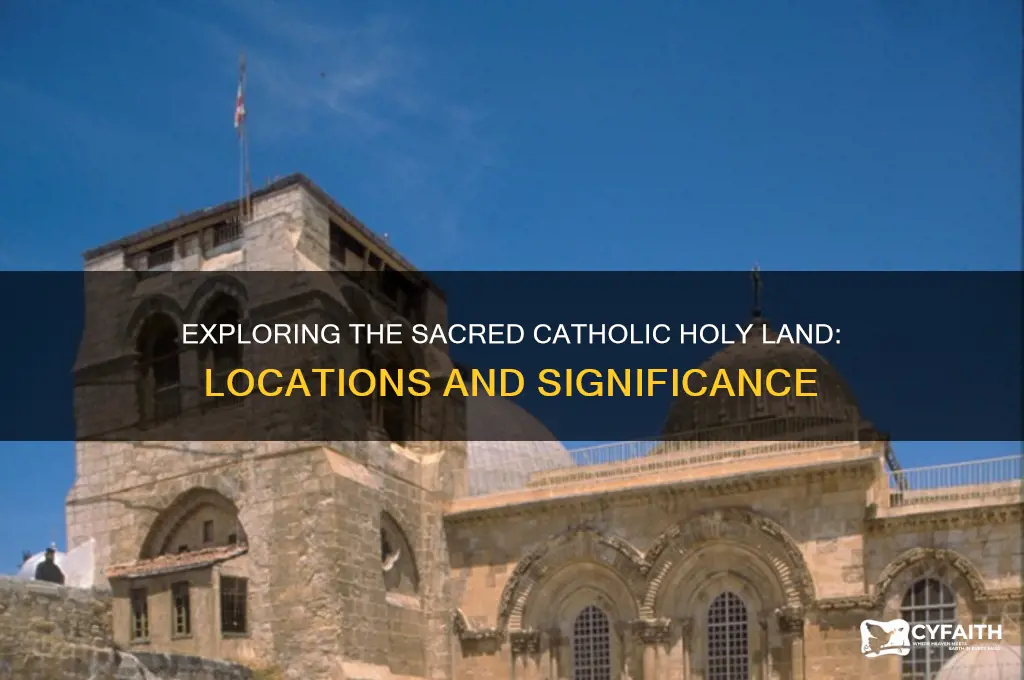 where is the catholic holy land