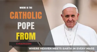 The Catholic Pope's Origins: Exploring His Birthplace and Background