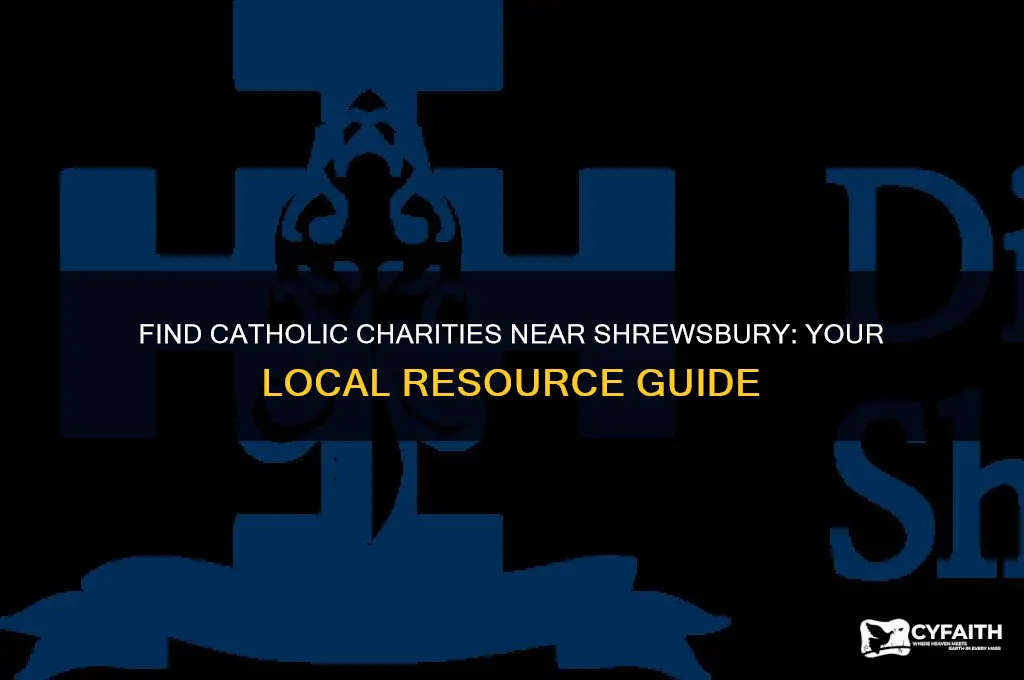 where is the closest catholic charities to shrewsbury