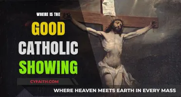 Where is the Good Catholic Showing? A Reflection on Faith and Action