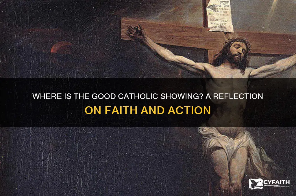 where is the good catholic showing