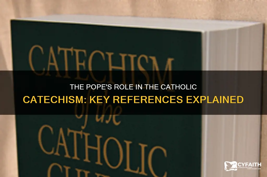 where is the pope mentioned in the catholic catechism