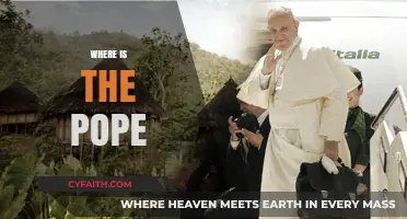 Where is the Pope? Tracking His Global Apostolic Journeys