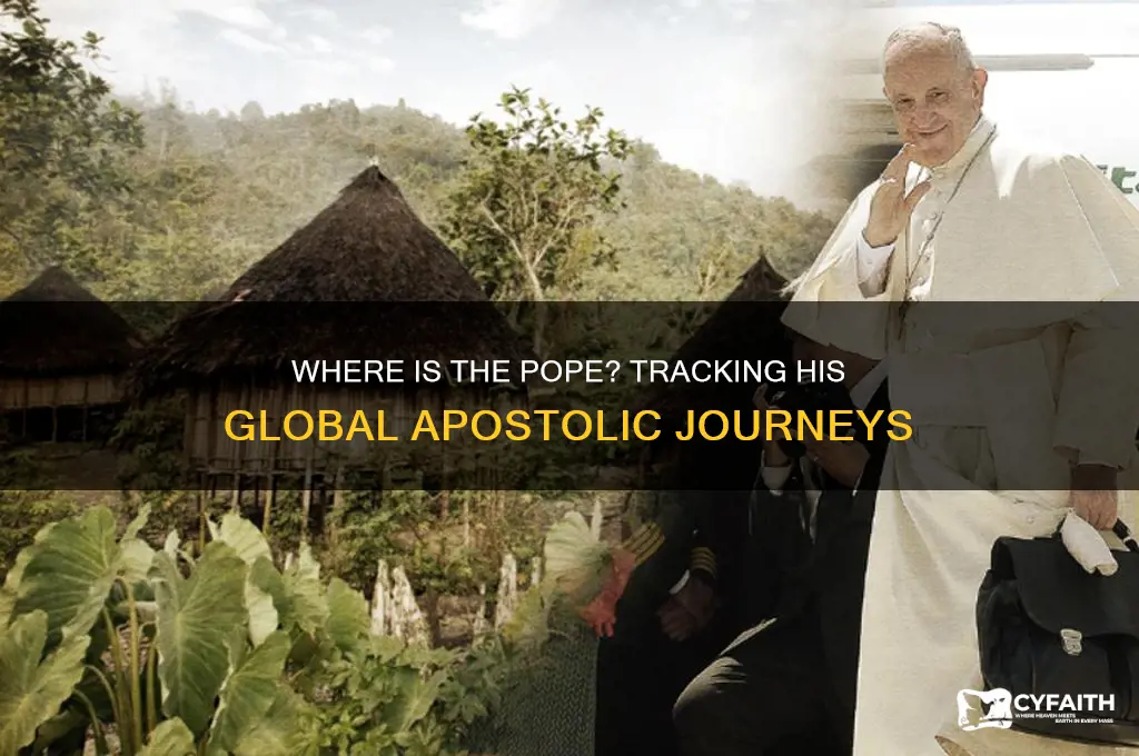 where is the pope