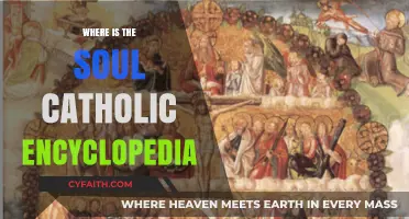 Exploring the Catholic Encyclopedia's Teachings on the Soul's Location