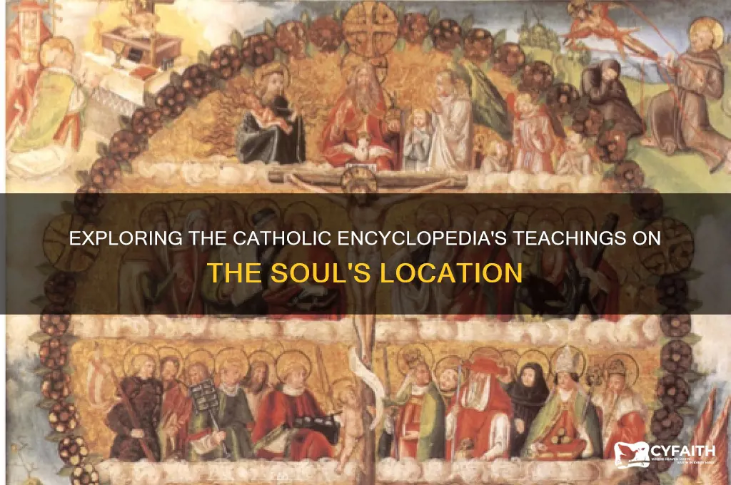 where is the soul catholic encyclopedia