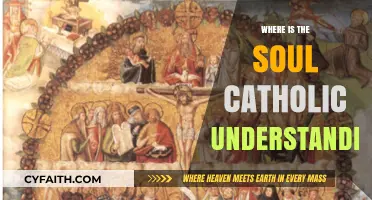 Catholic Insights: Exploring the Eternal Question of the Soul's Location
