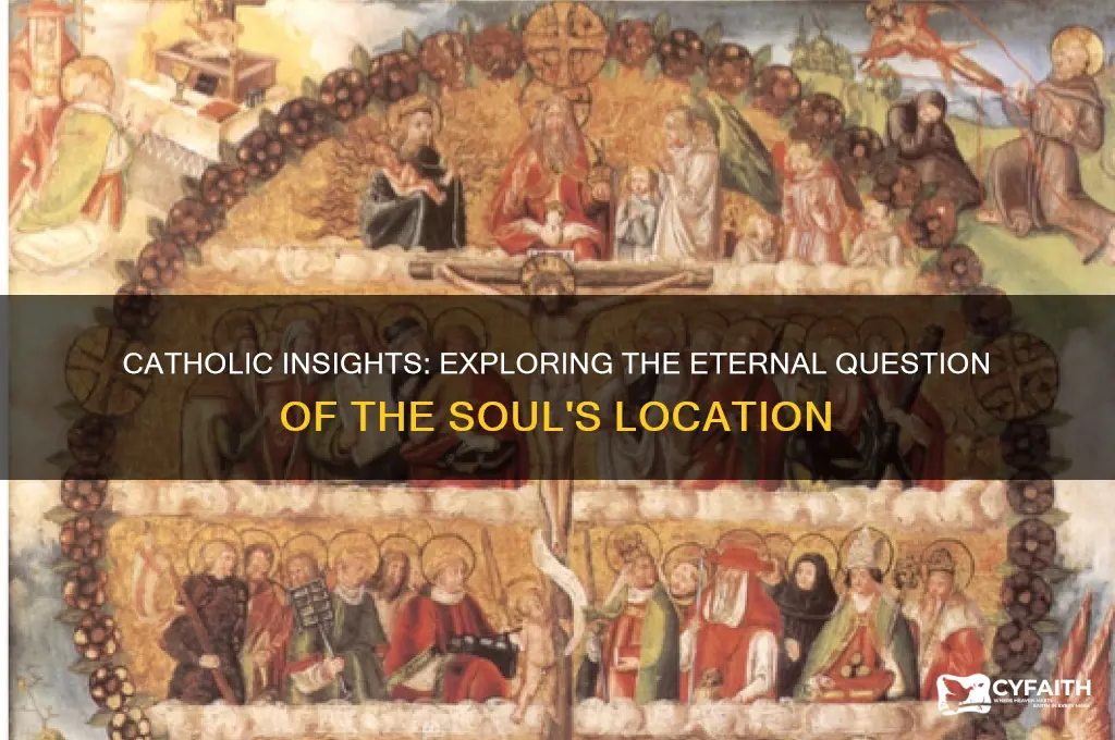 where is the soul catholic understanding