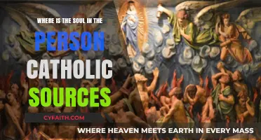 Catholic Teachings on the Soul's Location in the Human Person