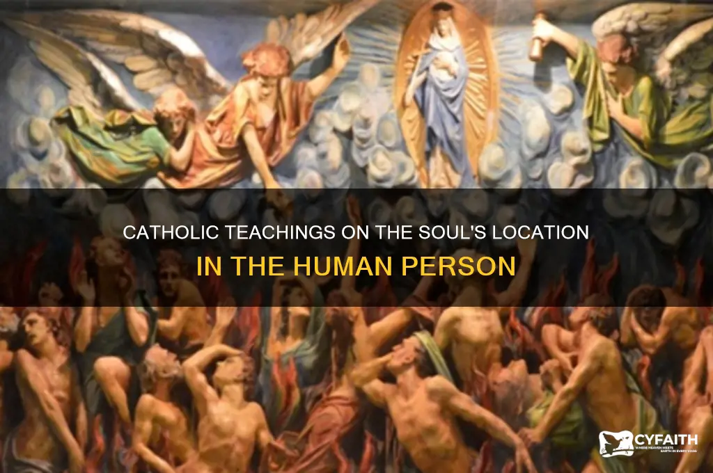 where is the soul in the person catholic sources