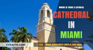 Discovering Miami's Catholic Cathedral: A Spiritual Landmark Guide