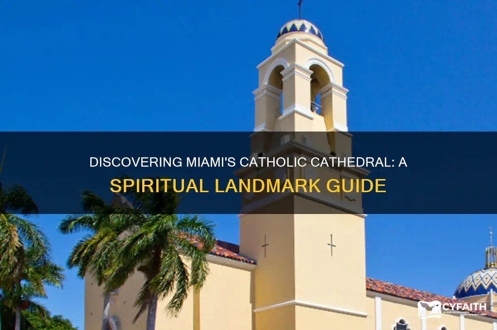 where is there a catholic cathedral in miami
