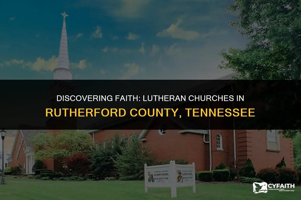 where is there a lutheran church in rutherford county tenn