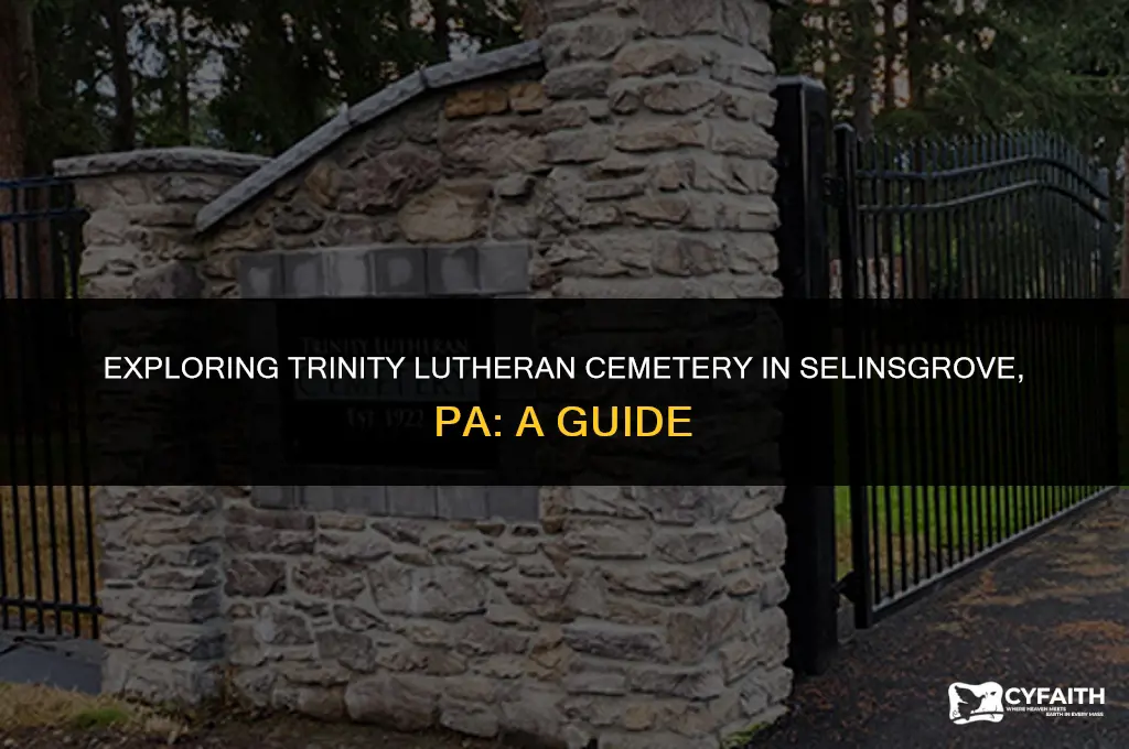 where is trinity lutheran cemetery in selinsgrove pa