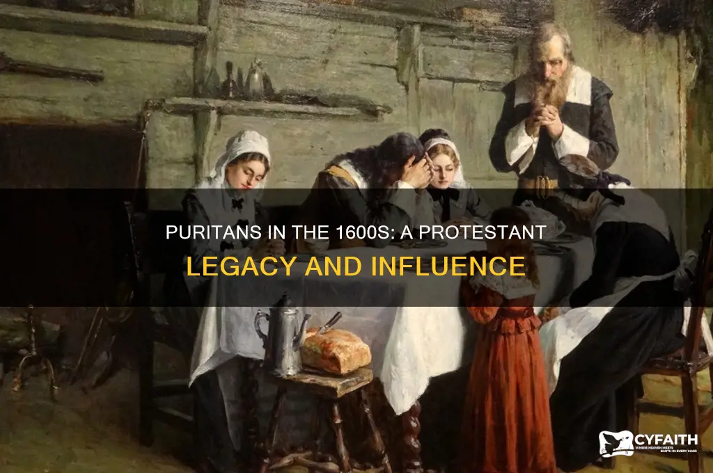 where puritans 1600s protestant