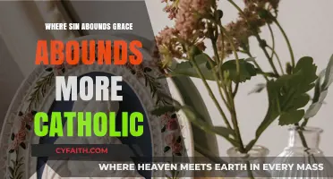 Grace Overflowing: Catholic Reflections on Sin and Divine Mercy