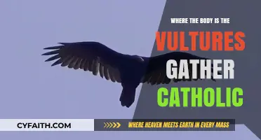 Catholic Symbolism: Vultures and the Body's Spiritual Significance Explored