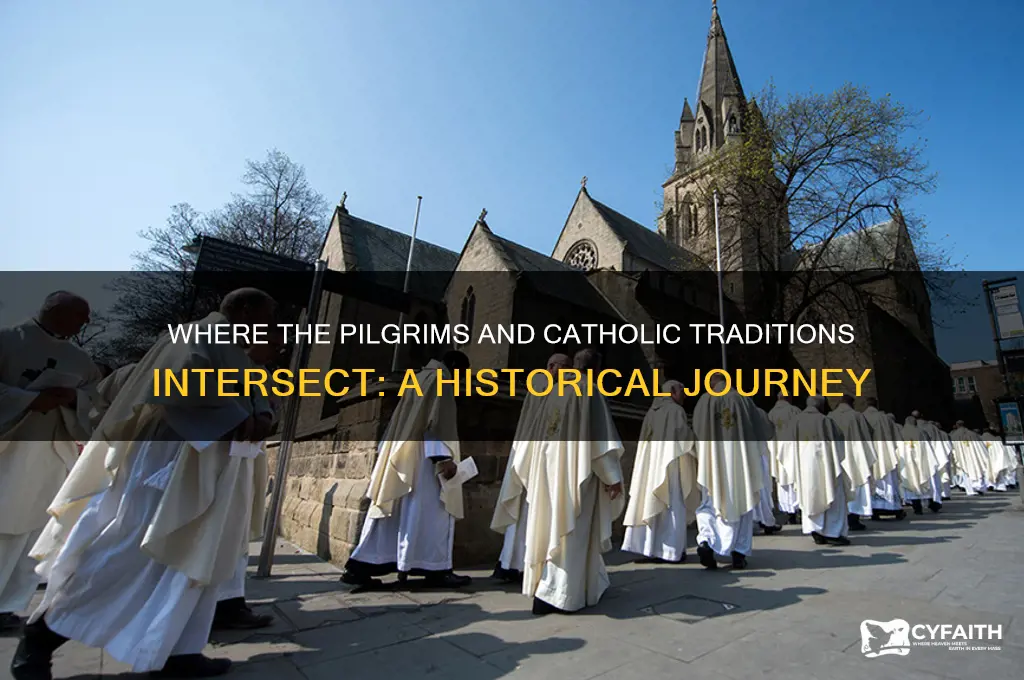 where the pilgirms catholic