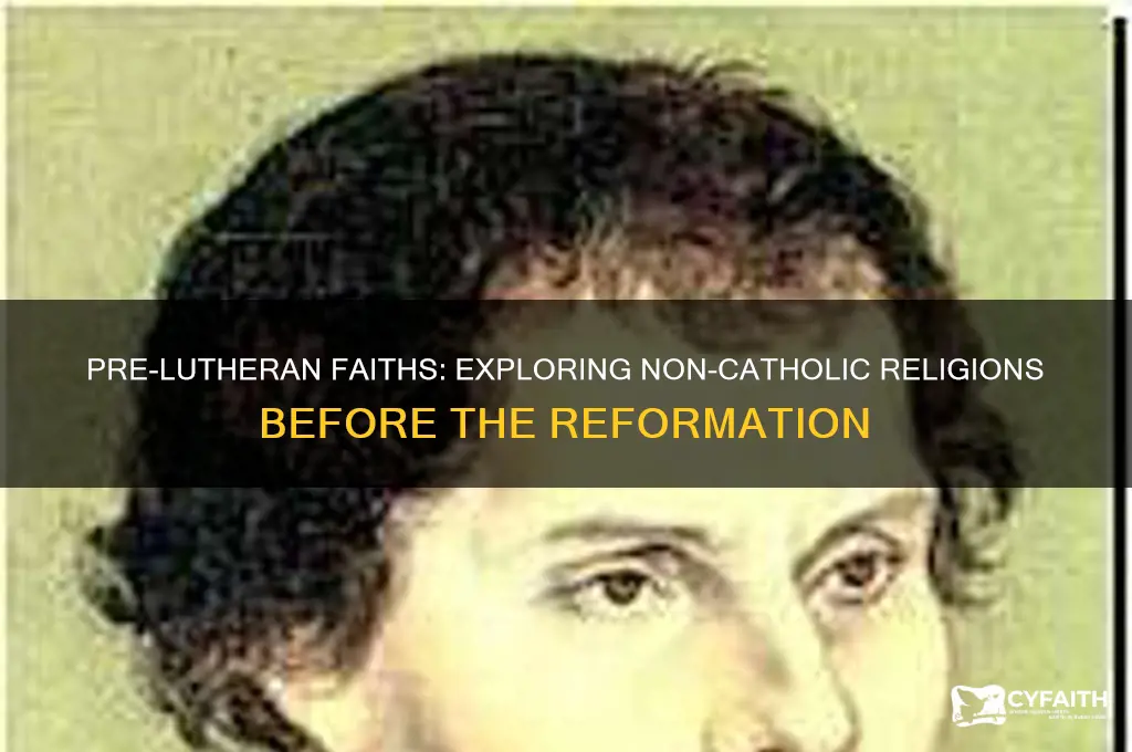 where there any non-catholic religions before the reformation of luther