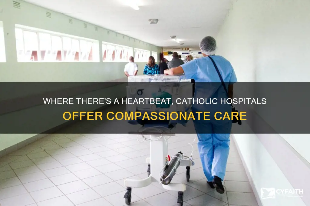 where there is a heartbeat catholic ospitals