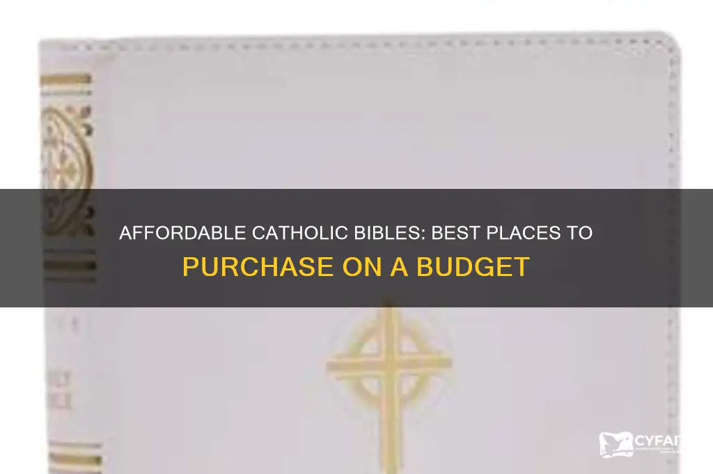 where to buy cheap catholic bibiles