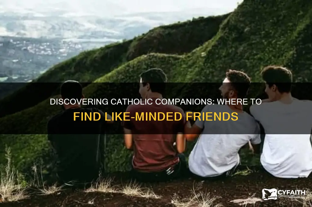 where to find catholic friends