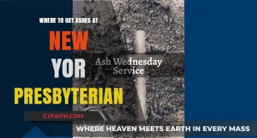Finding Ashes at New York Presbyterian: A Comprehensive Guide