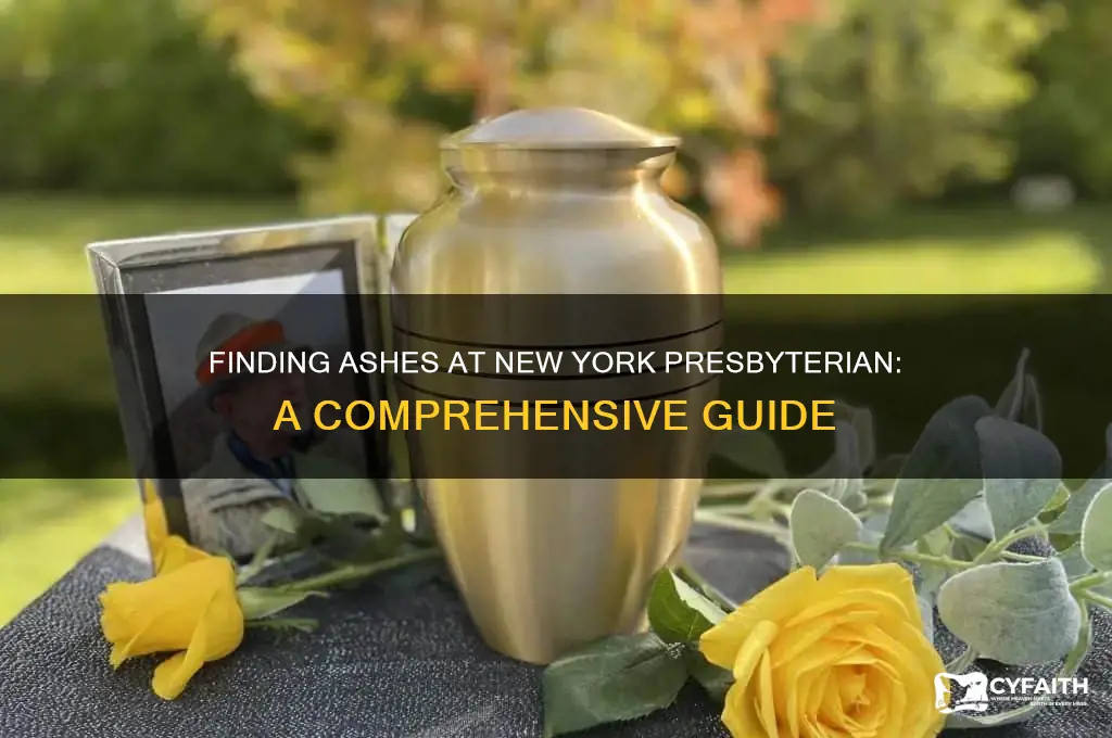 where to get ashes at new yor presbyterian