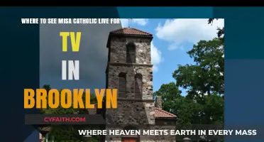 Where to Watch Misa Catholic Live on TV in Brooklyn