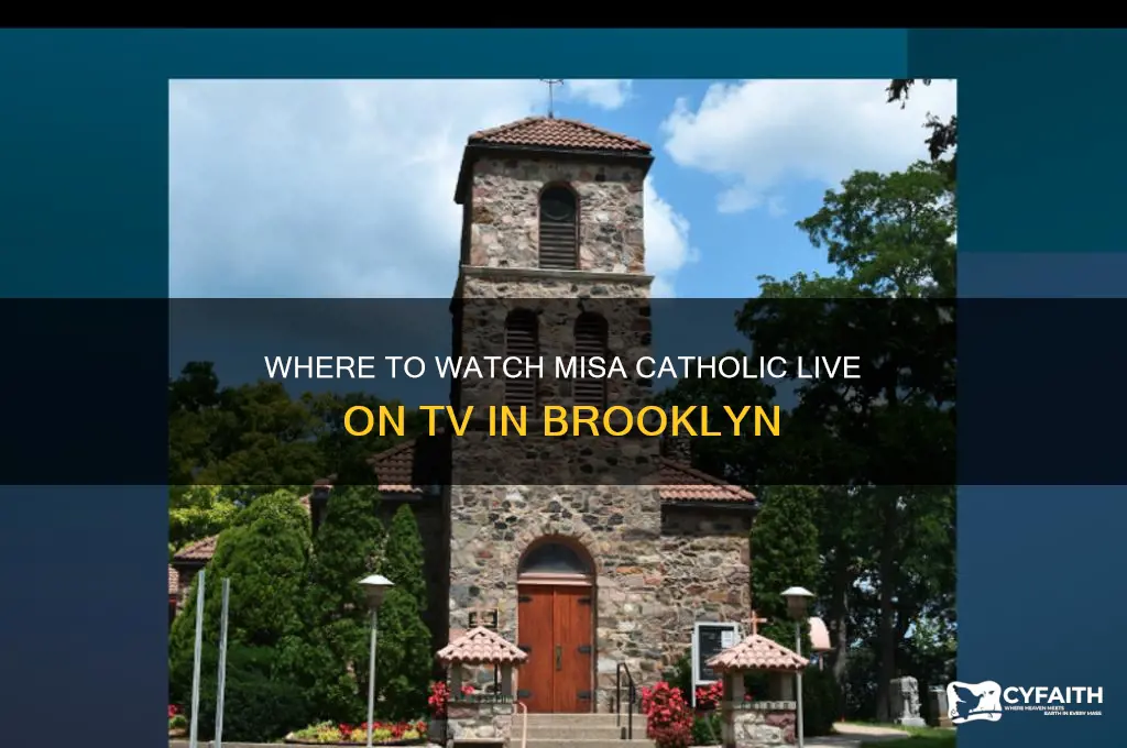 where to see misa catholic live for tv in brooklyn