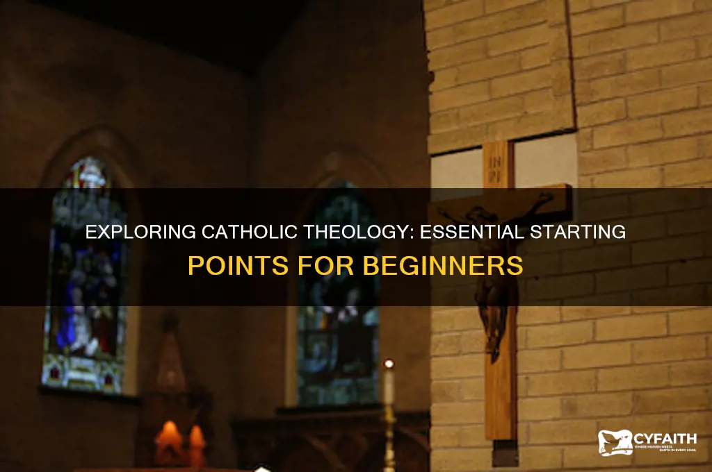 where to start catholic theology