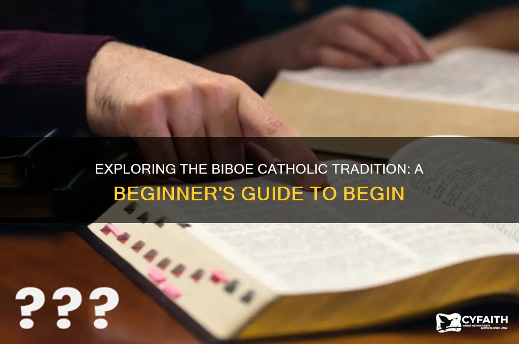 where to start with the biboe catholic
